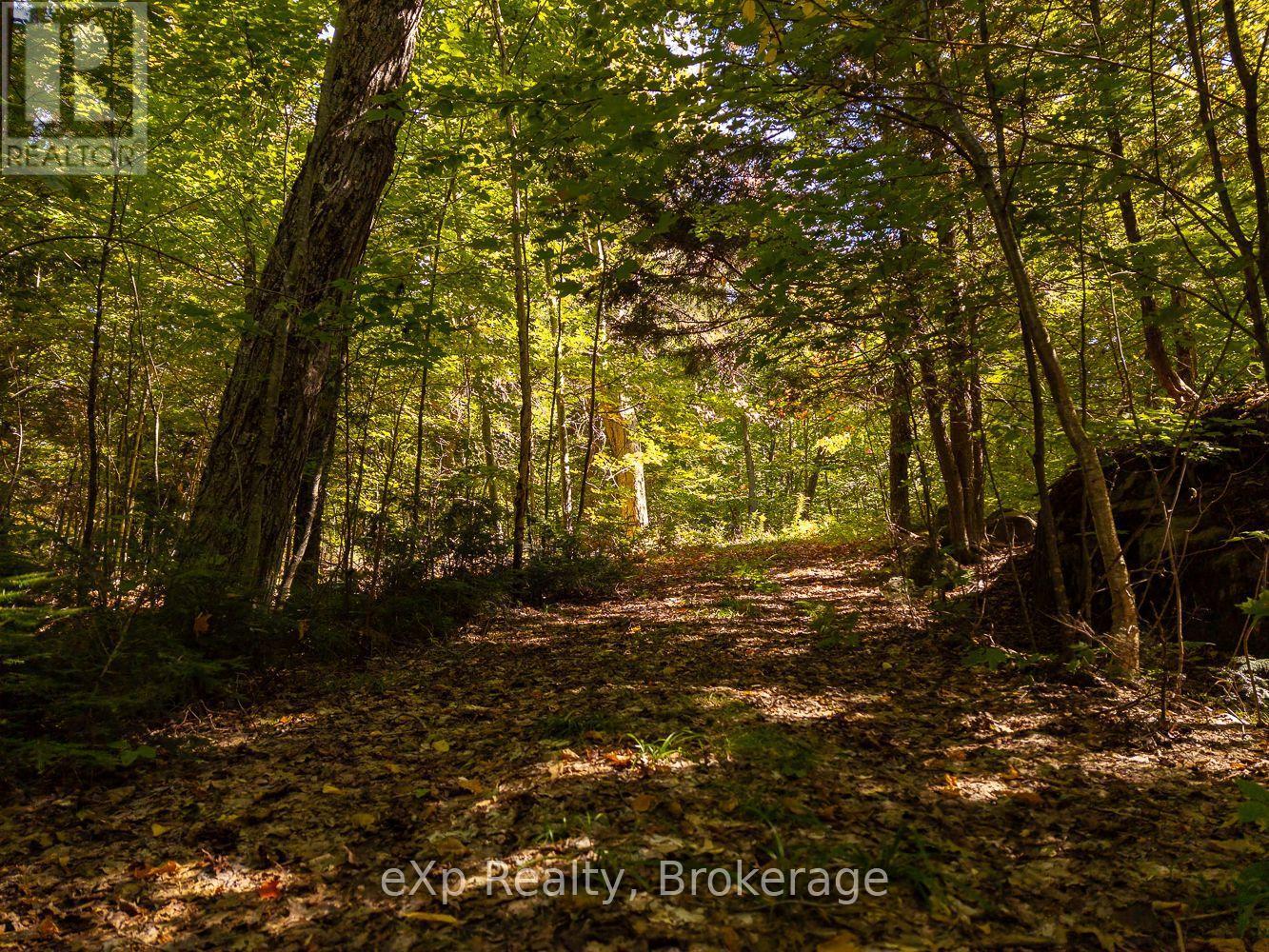 4 Fire Route 140 (Turtle Lane) Lane, Mckellar, ON - Outdoor With View