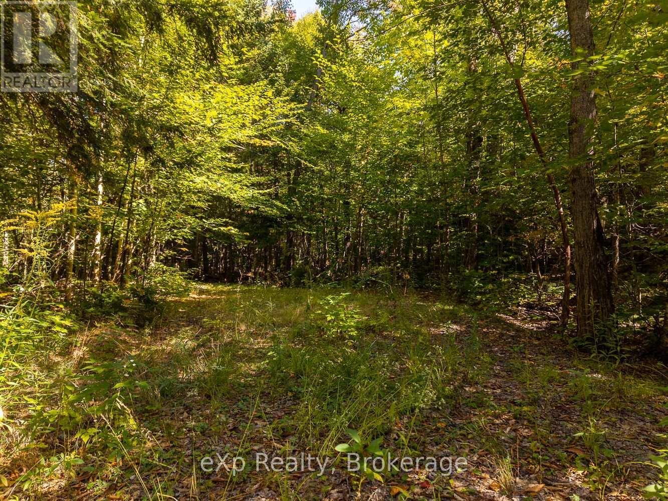 4 Fire Route 140 (Turtle Lane) Lane, Mckellar, ON - Outdoor