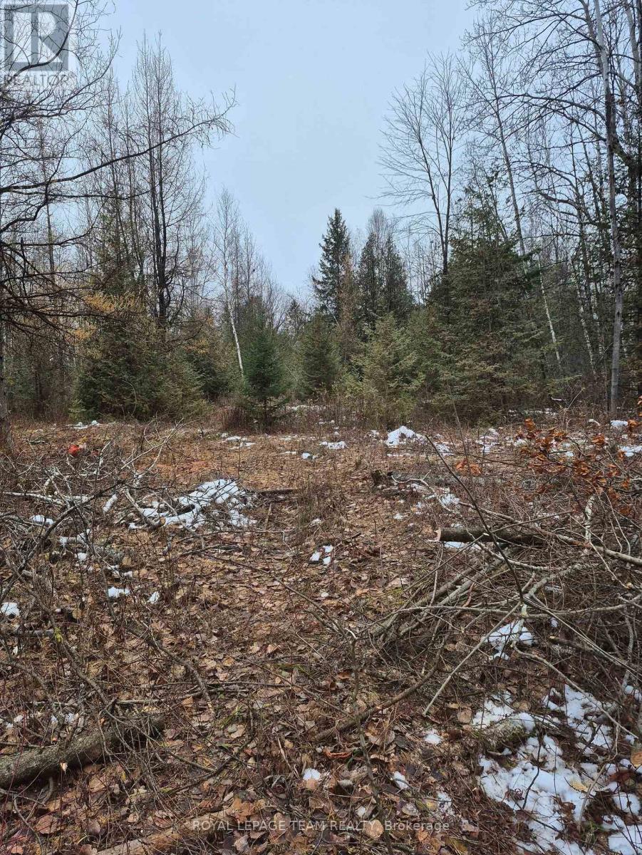 Private sandy knoll set back, ready to build. - 2819 Cowell Road, Ottawa, ON