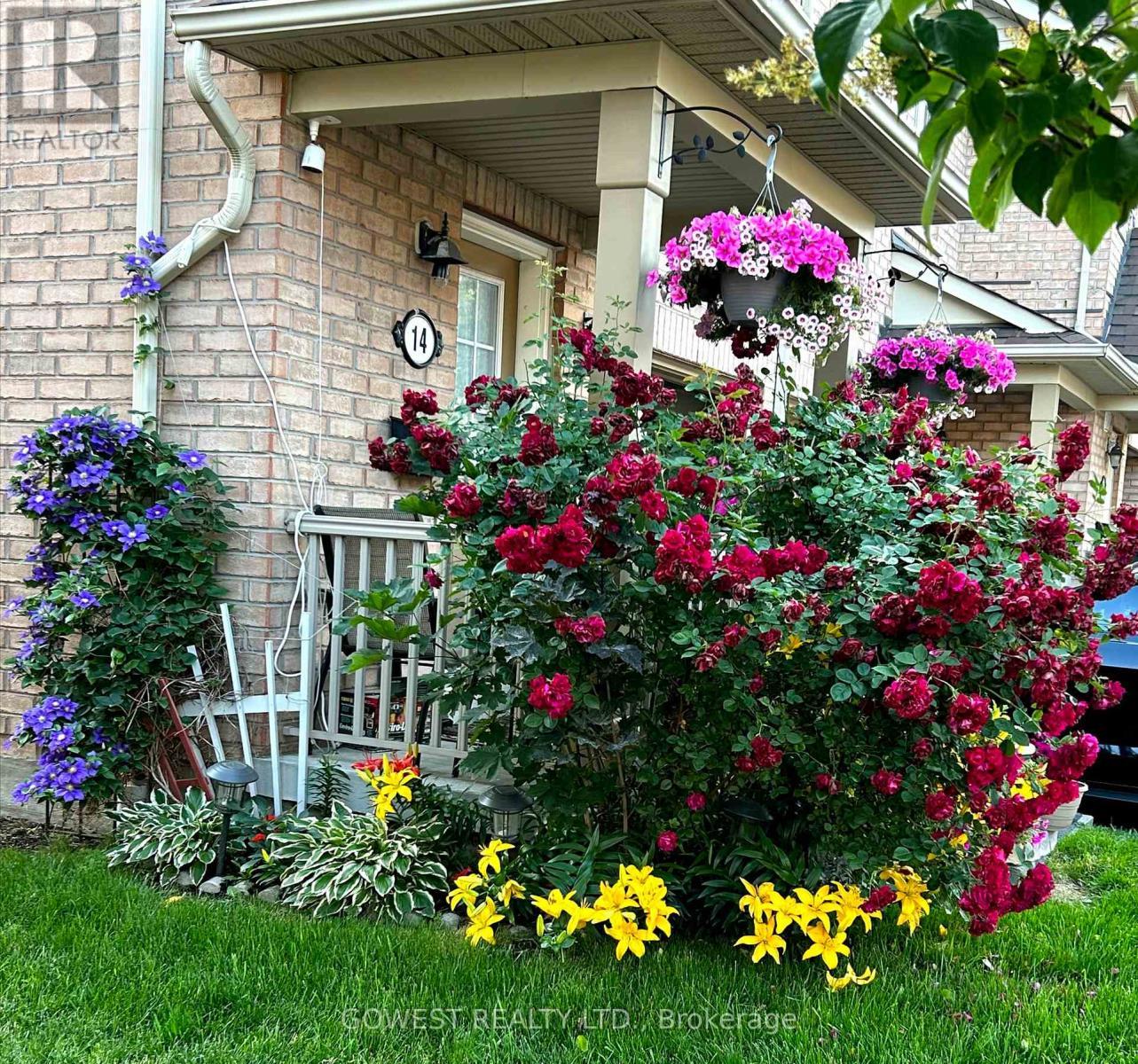 14 - 3150 Erin Centre Boulevard, Mississauga, ON - Outdoor