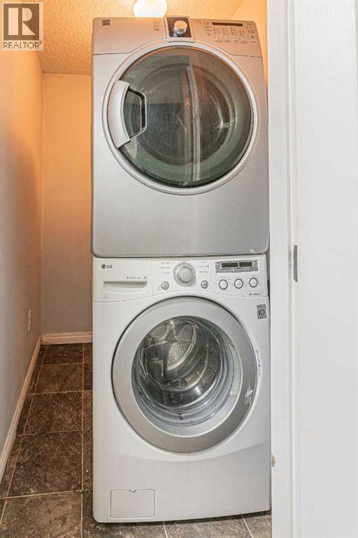 38 Martindale Drive Ne, Calgary, AB - Indoor Photo Showing Laundry Room