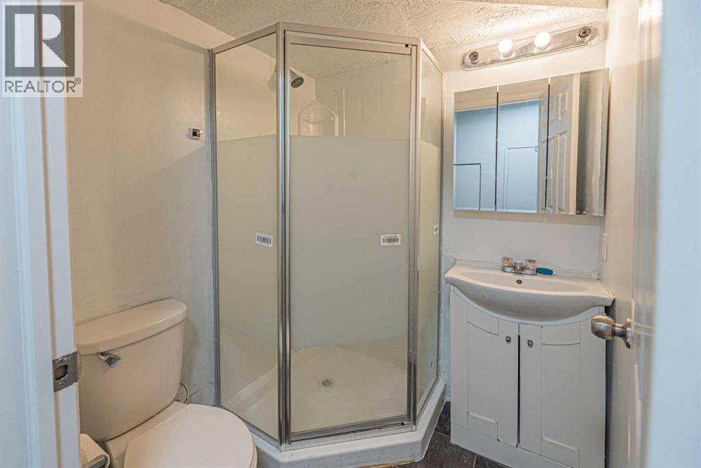 38 Martindale Drive Ne, Calgary, AB - Indoor Photo Showing Bathroom