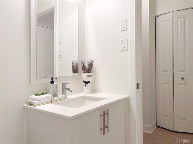 Bathroom - 311-1801 Rue Viola-Desmond, Montréal (Lasalle), QC - Indoor Photo Showing Bathroom