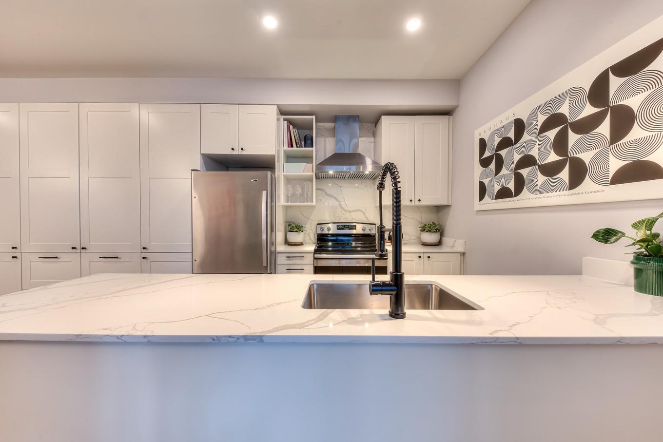 Kitchen - 6245 Av. Christophe-Colomb, Montréal (Rosemont/La Petite-Patrie), QC - Indoor Photo Showing Kitchen With Upgraded Kitchen