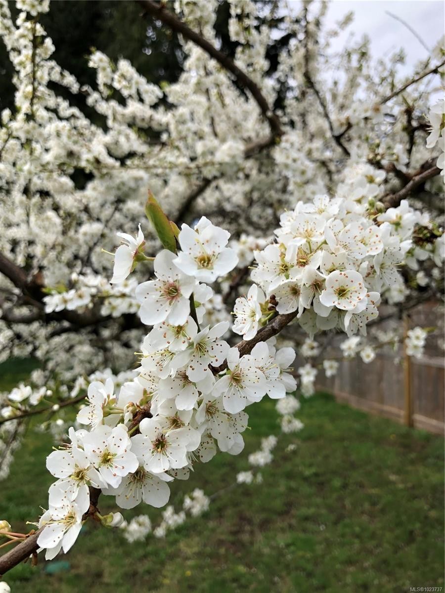 1520 King Rd, Qualicum Beach, BC