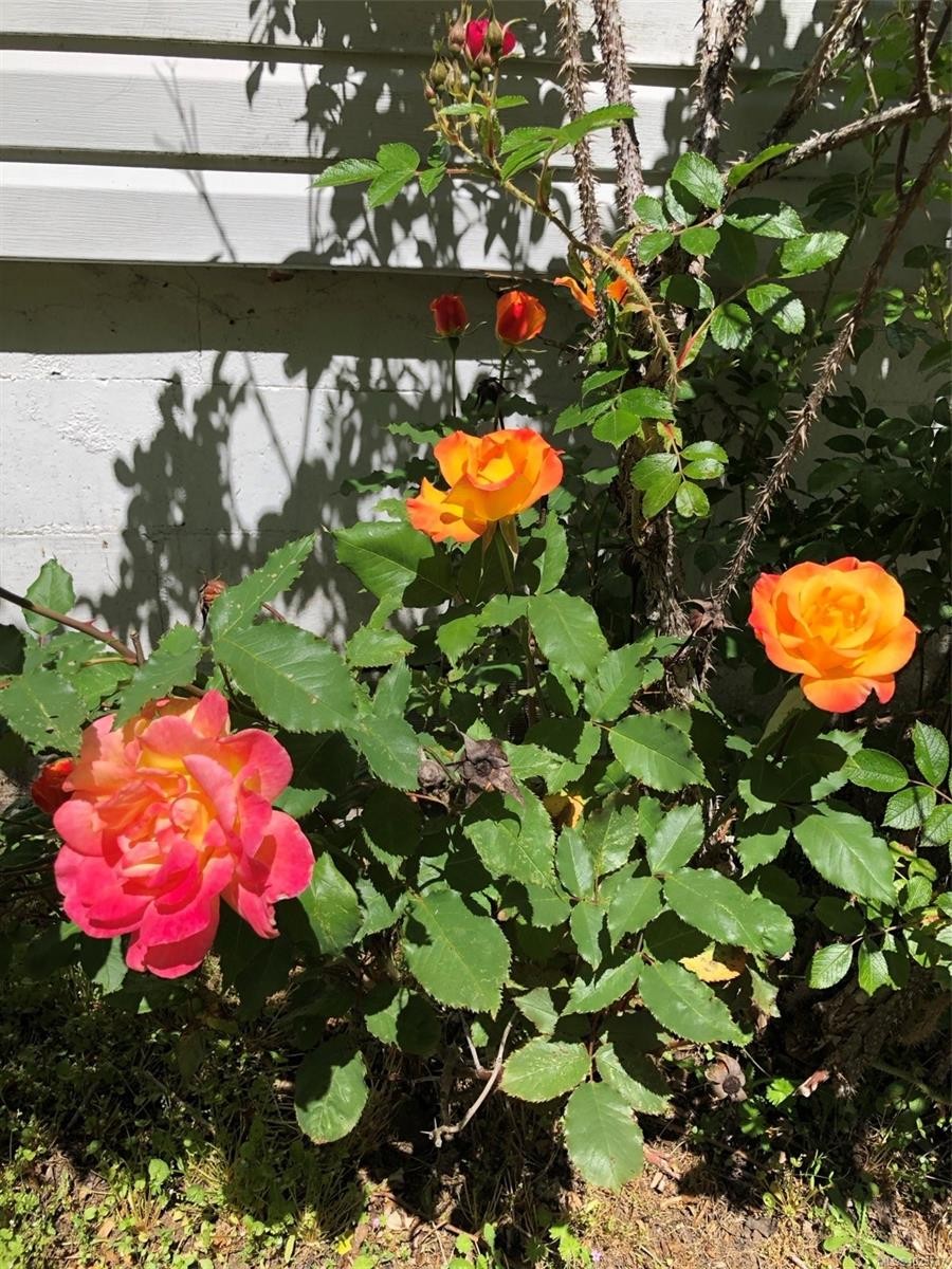 1520 King Rd, Qualicum Beach, BC