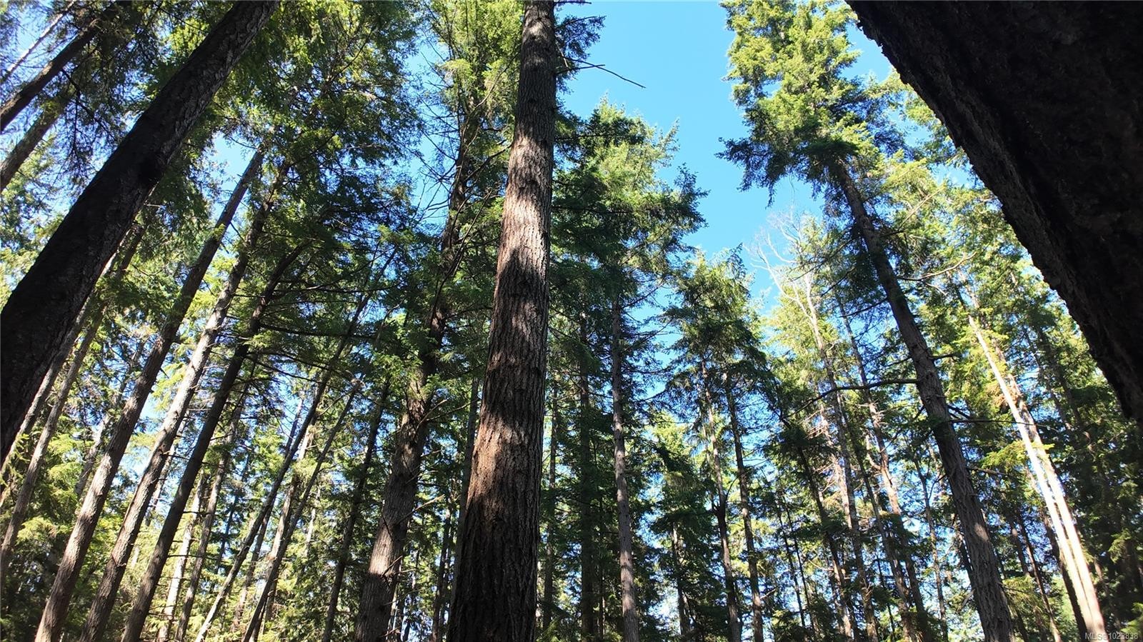 4480 Strachan Rd, Hornby Island, BC