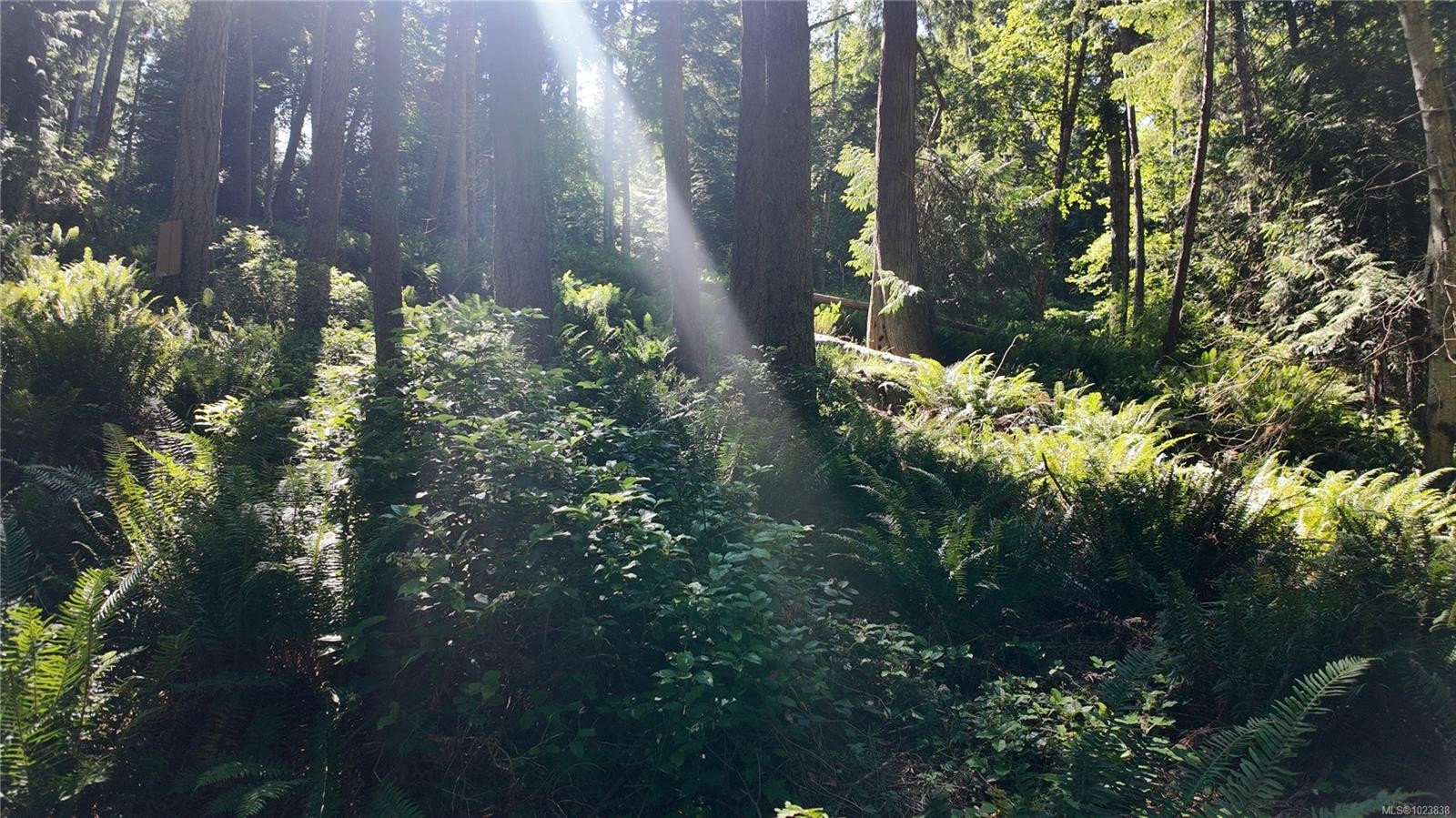 4480 Strachan Rd, Hornby Island, BC