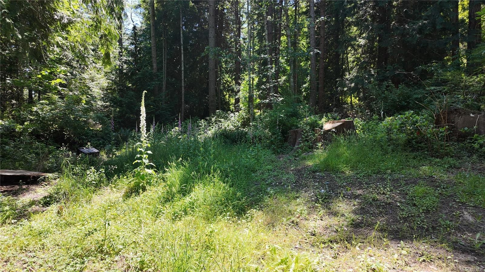 4480 Strachan Rd, Hornby Island, BC