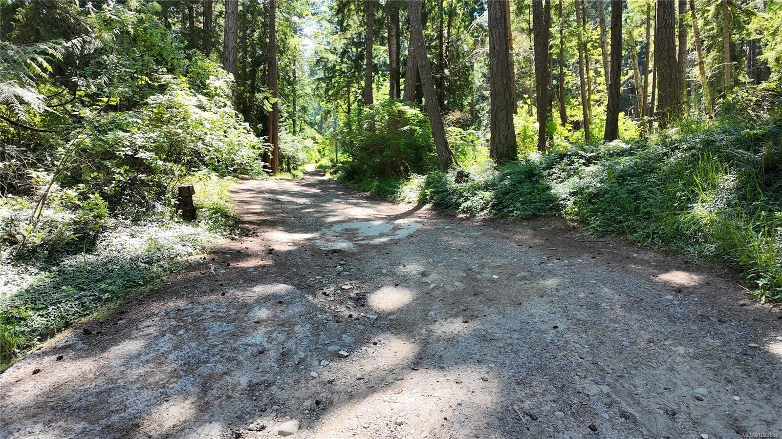 4480 Strachan Rd, Hornby Island, BC