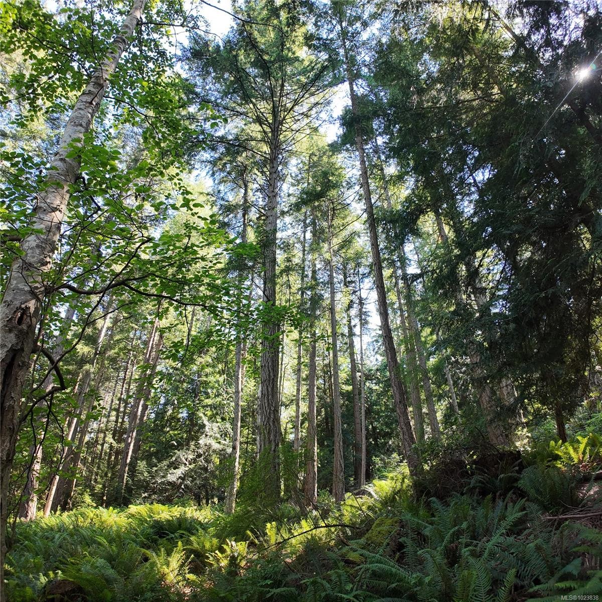 4480 Strachan Rd, Hornby Island, BC