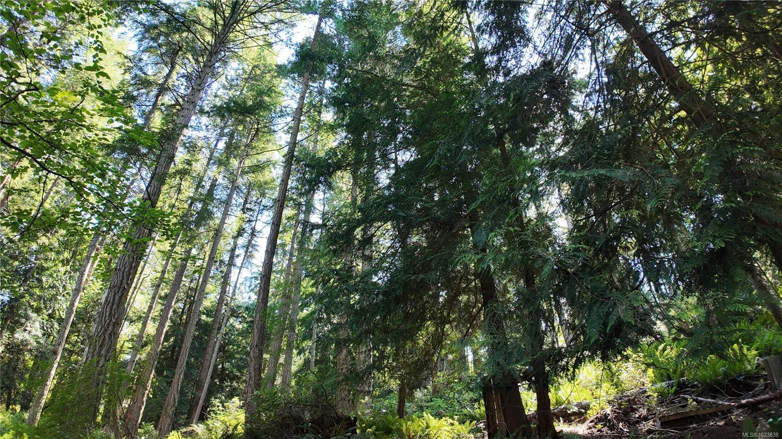 4480 Strachan Rd, Hornby Island, BC