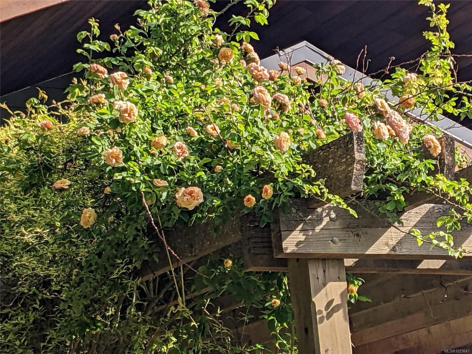 248 Suneagle Dr, Salt Spring, BC