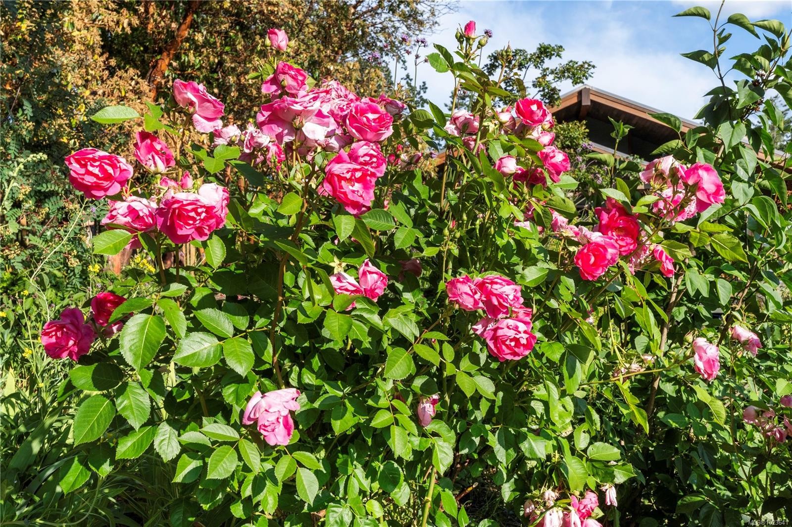 248 Suneagle Dr, Salt Spring, BC