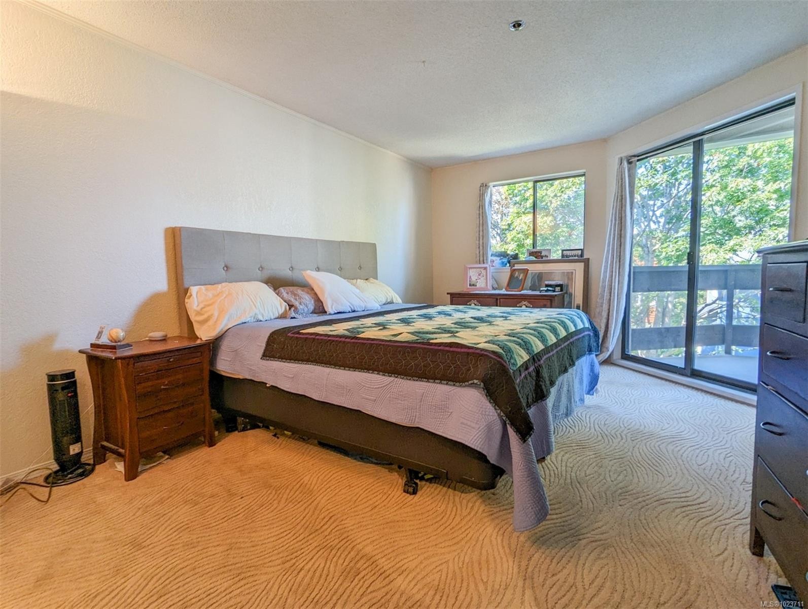 309-1560 Hillside Ave, Victoria, BC - Indoor Photo Showing Bedroom
