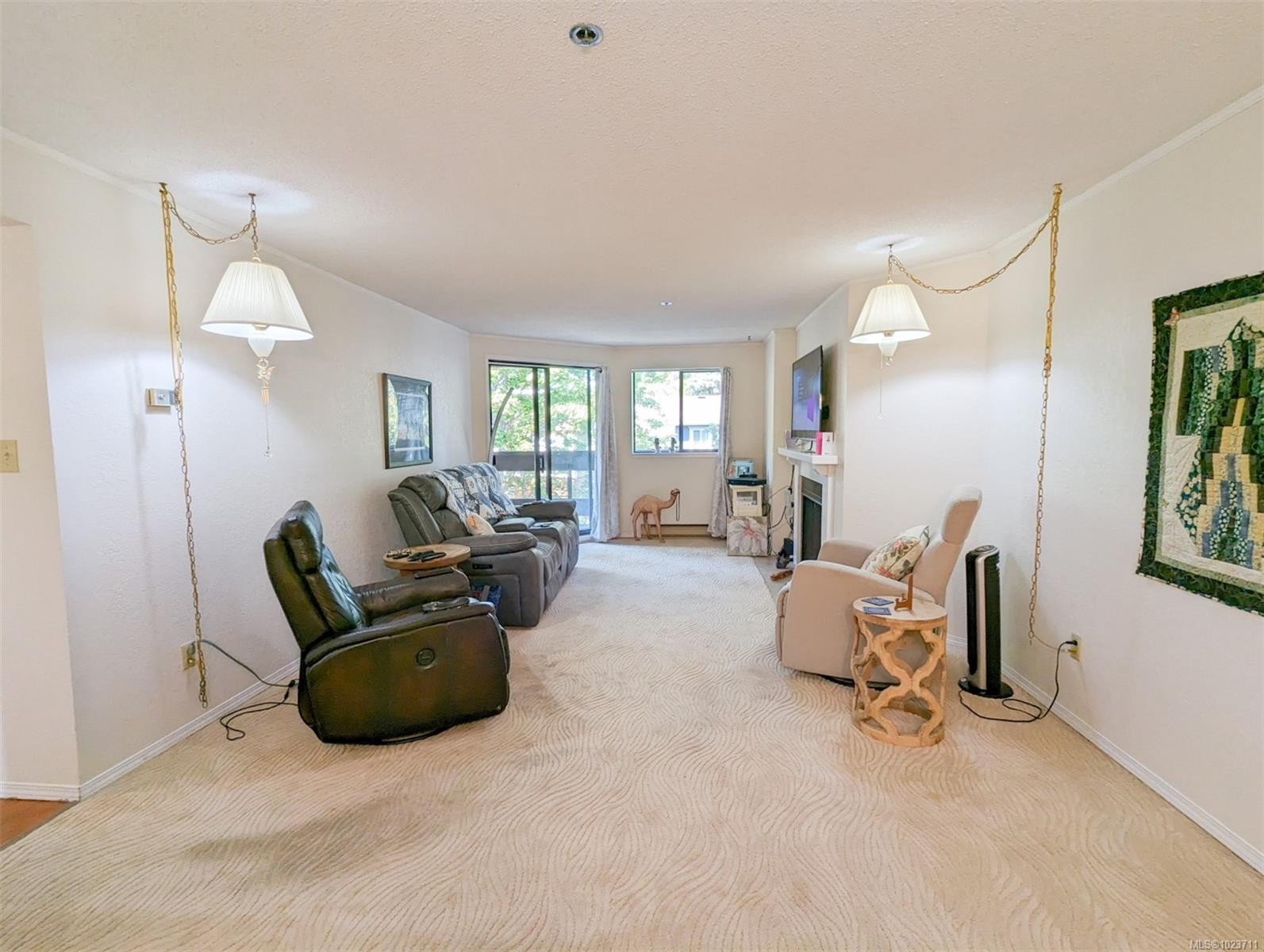 309-1560 Hillside Ave, Victoria, BC - Indoor