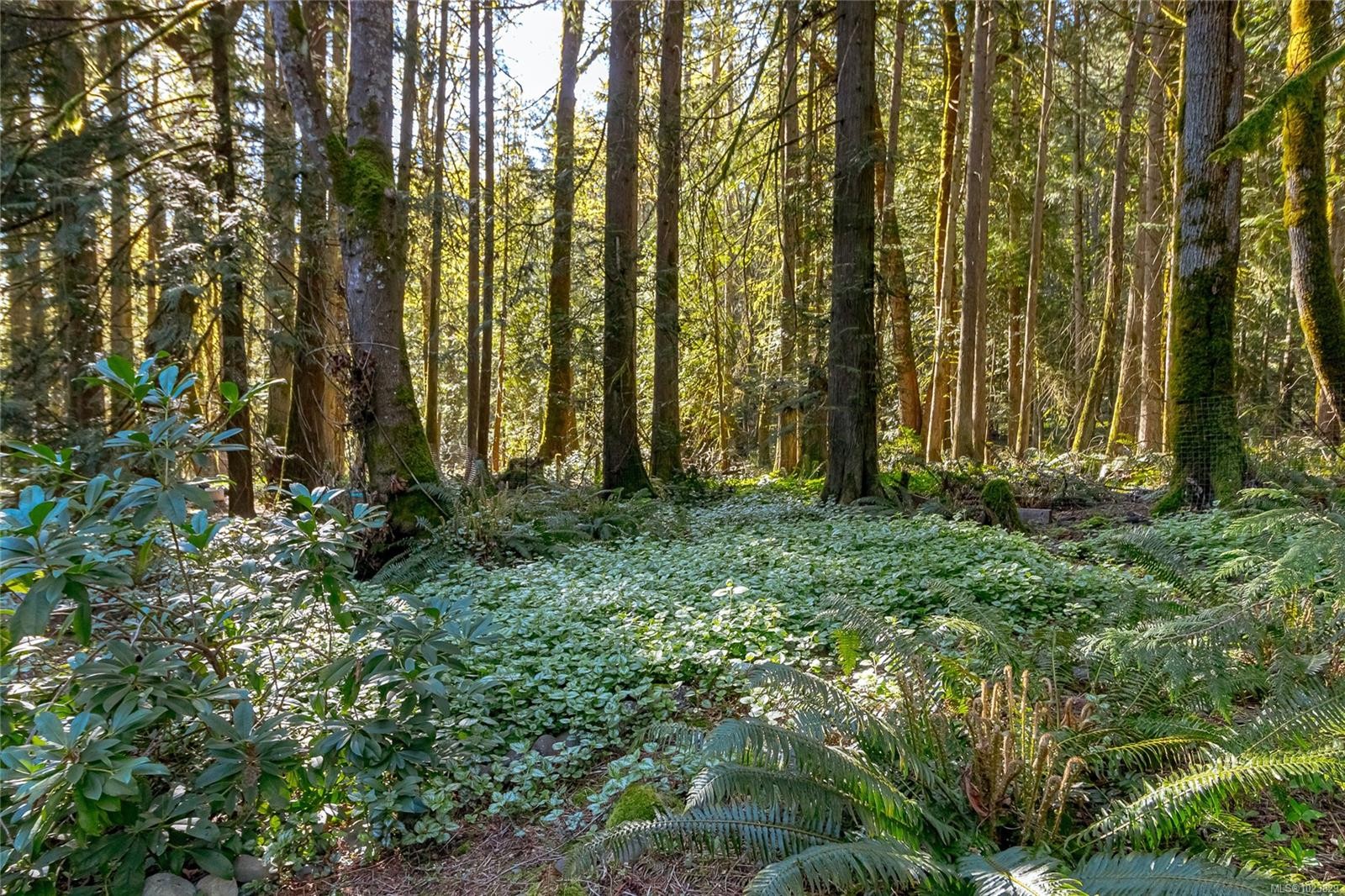 4868 Prospect Dr, Ladysmith, BC