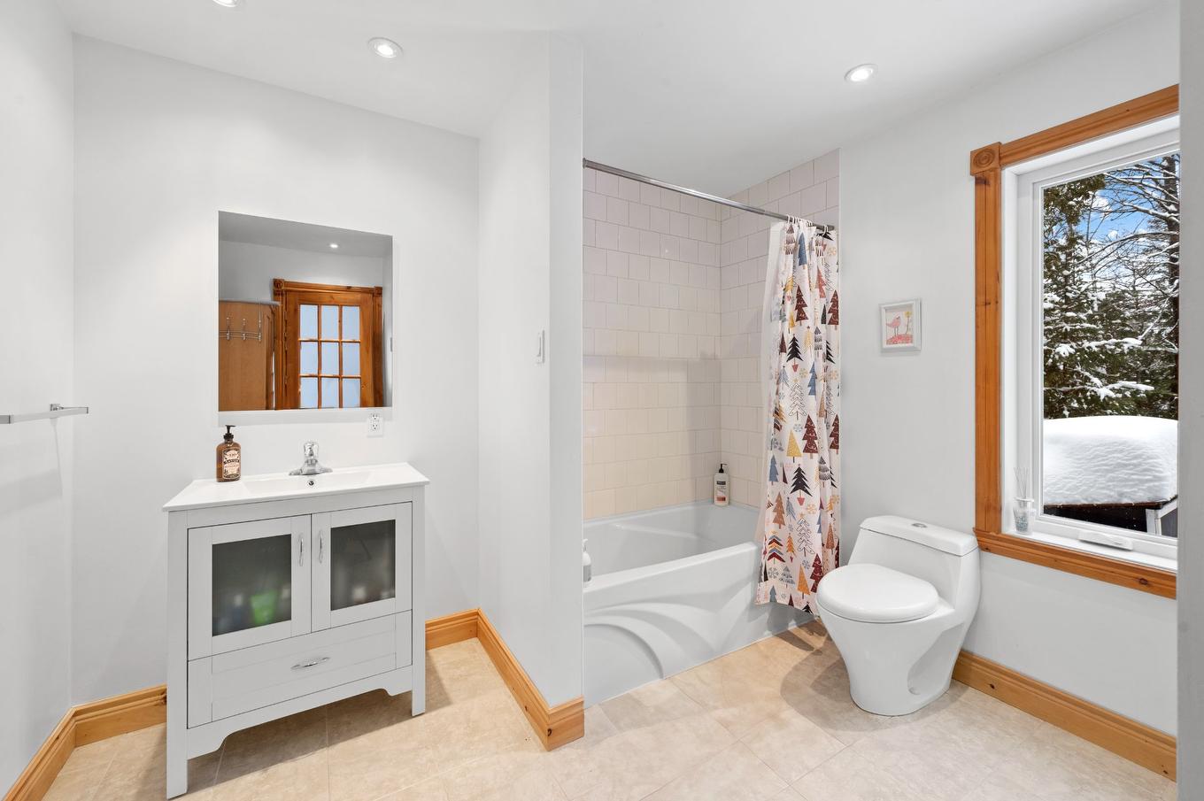 Salle de bains - 1951 Ch. Du 9E-Rang, Sainte-Lucie-Des-Laurentides, QC - Indoor Photo Showing Bathroom