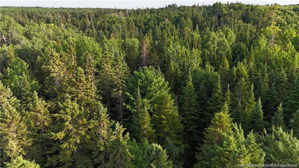 Lot 1 Murray Rd, Smiths Corner, NB