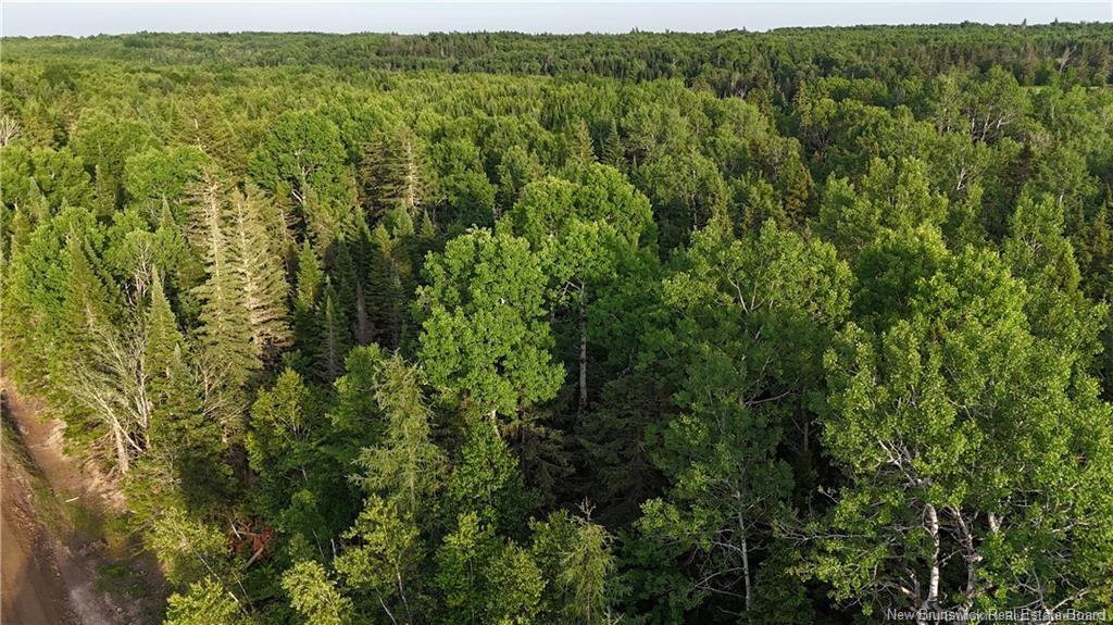 Lot 1 Murray Rd, Smiths Corner, NB