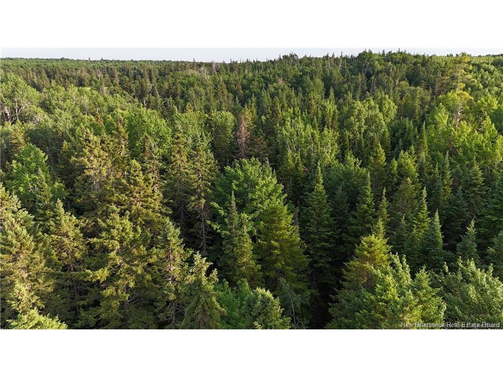 Lot 2 Murray Rd, Smiths Corner, NB