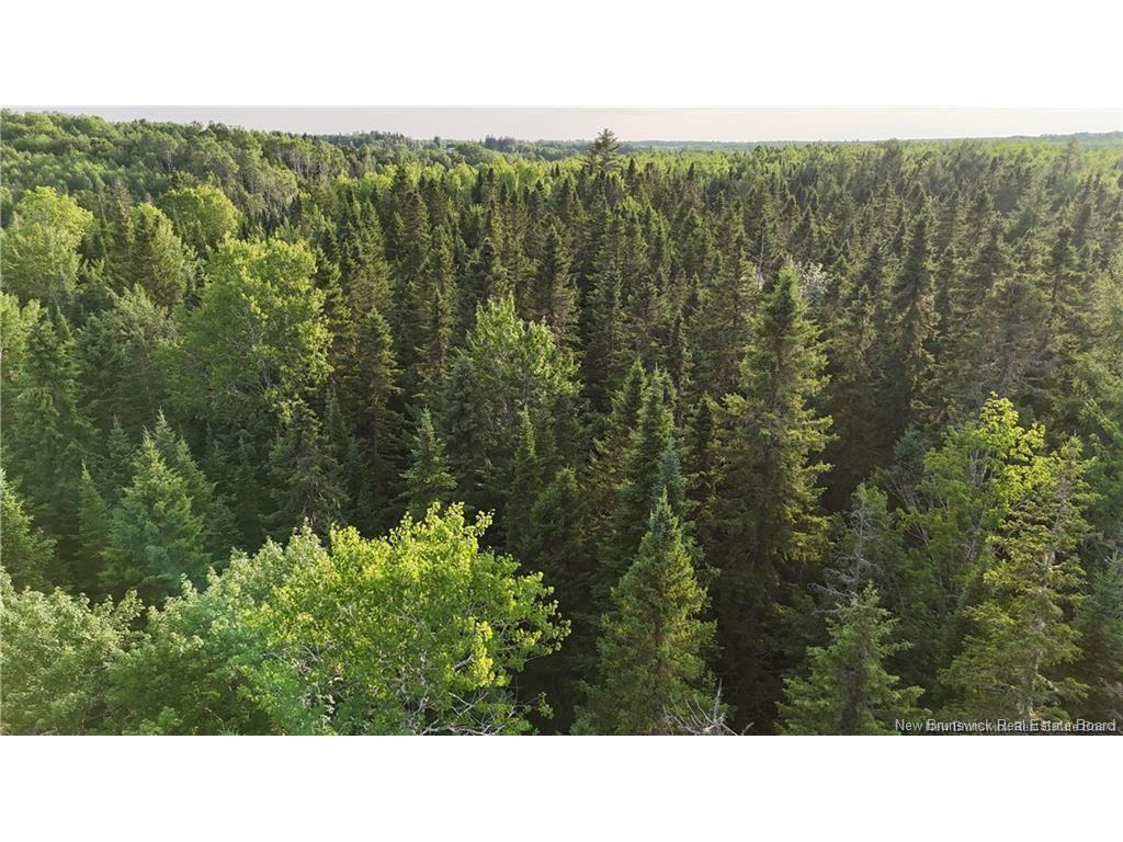 Lot 2 Murray Rd, Smiths Corner, NB