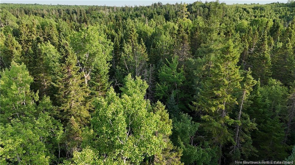 Lot 2 Murray Rd, Smiths Corner, NB