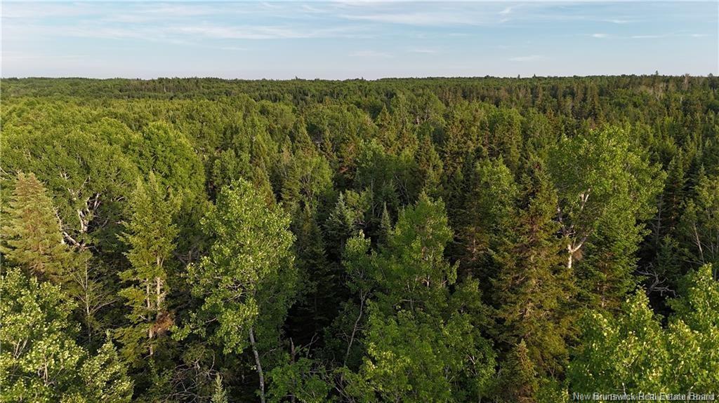 Lot 2 Murray Rd, Smiths Corner, NB