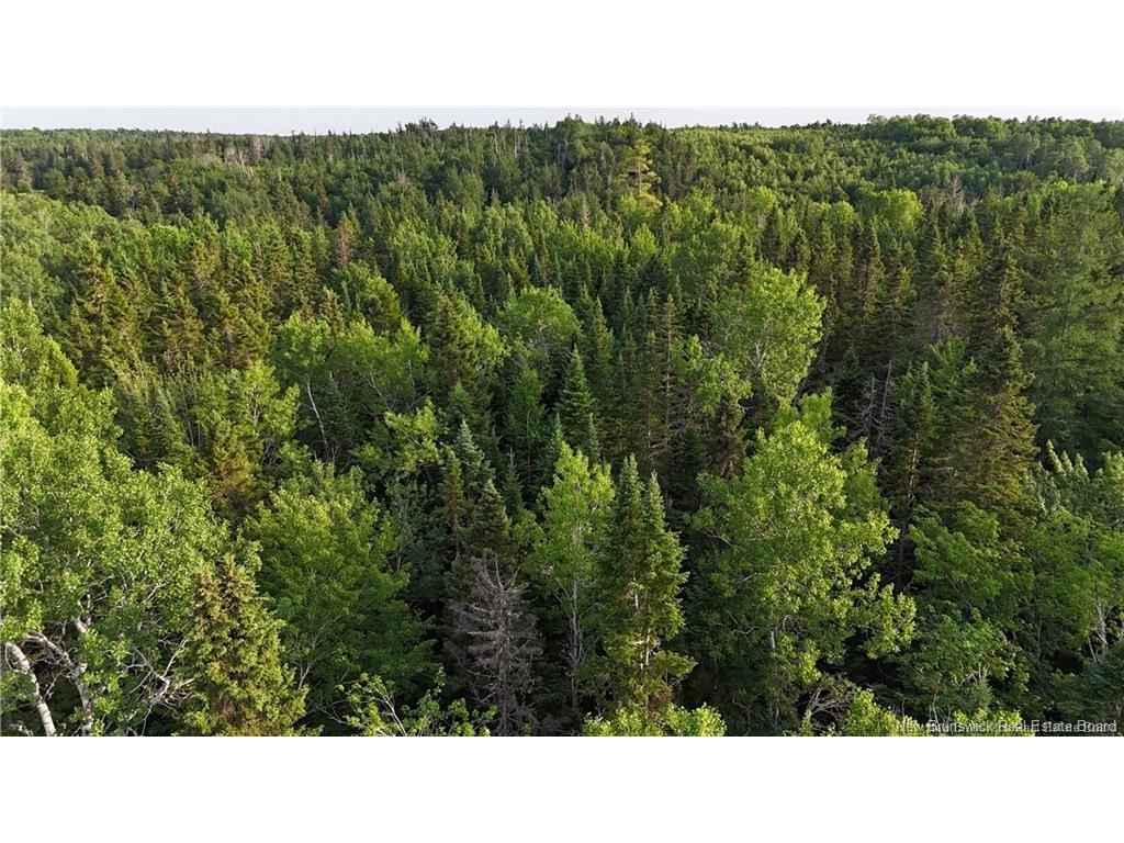Lot 2 Murray Rd, Smiths Corner, NB