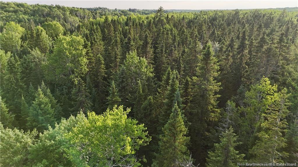 Lot 3 Murray Rd, Smiths Corner, NB