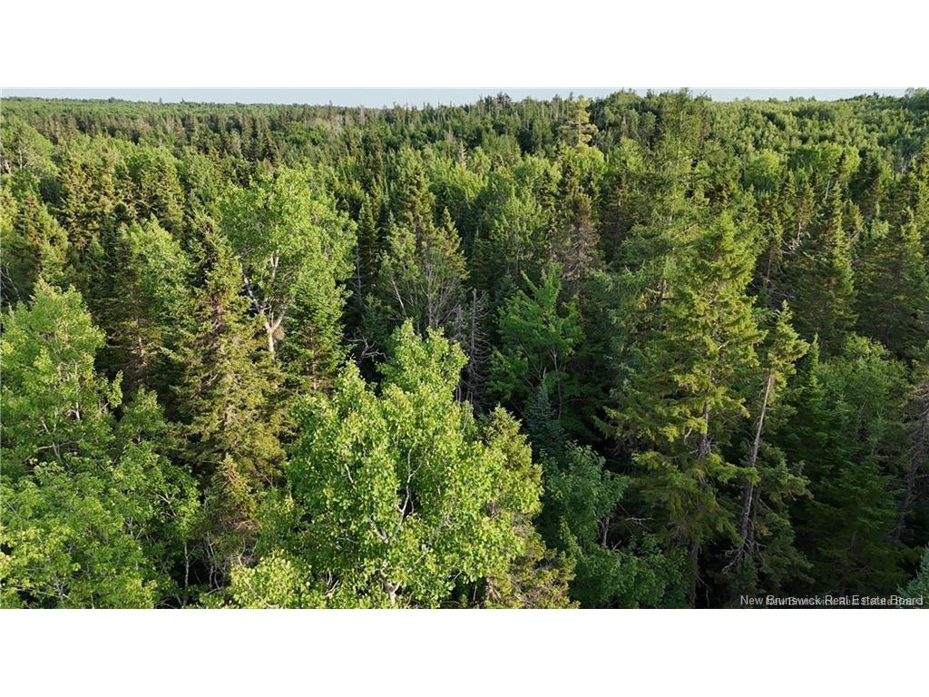 Lot 3 Murray Rd, Smiths Corner, NB