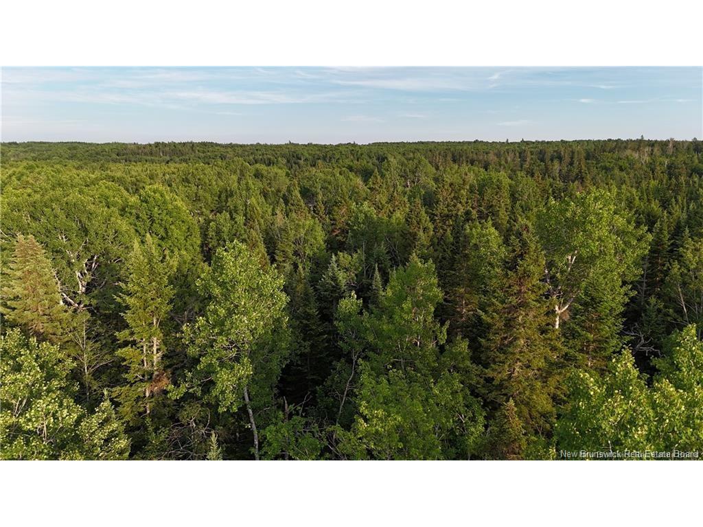 Lot 3 Murray Rd, Smiths Corner, NB