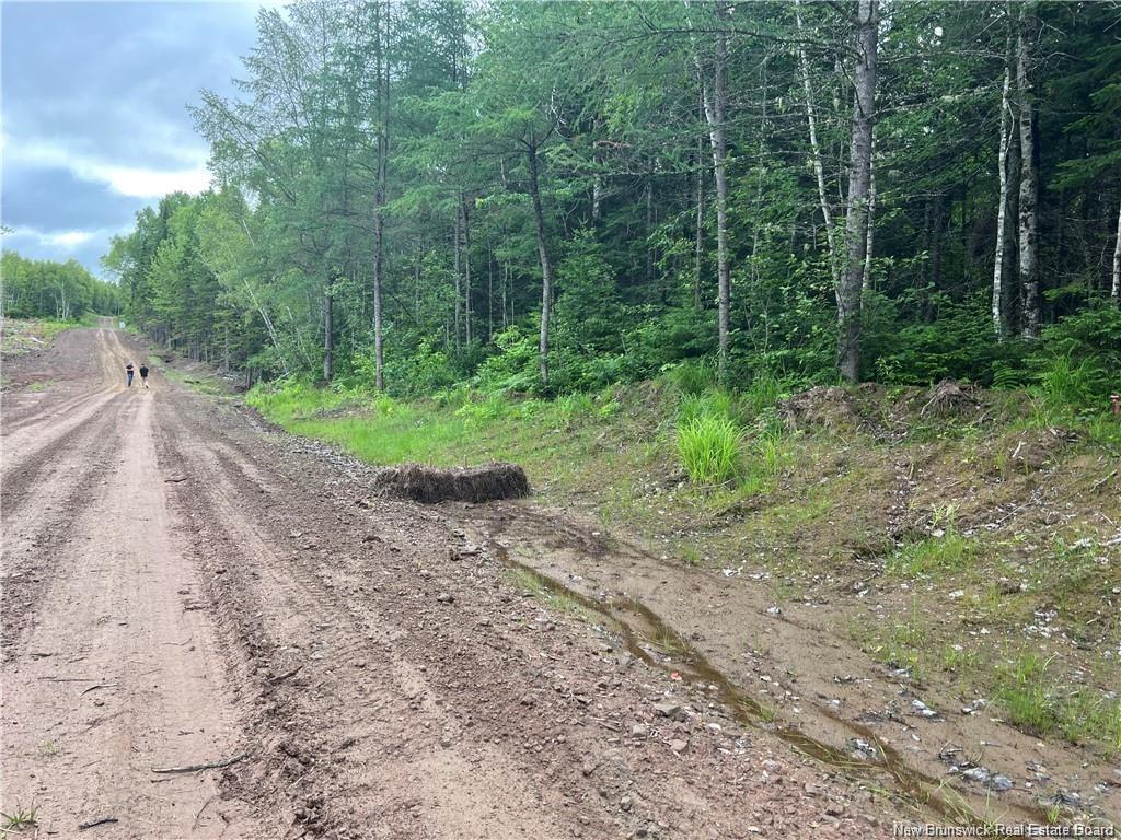 Lot 3 Murray Rd, Smiths Corner, NB