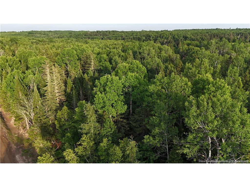Lot 3 Murray Rd, Smiths Corner, NB