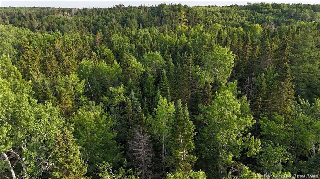 Lot 3 Murray Rd, Smiths Corner, NB