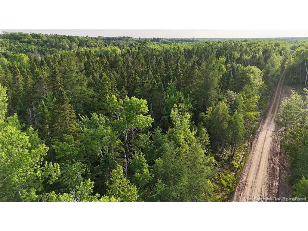 Lot 3 Murray Rd, Smiths Corner, NB