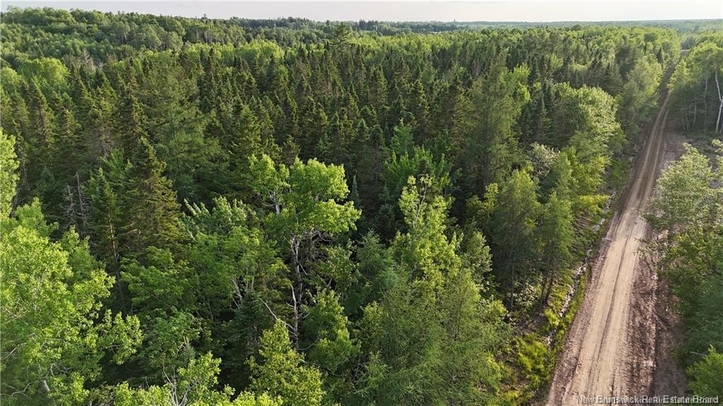 Lot 3 Murray Rd, Smiths Corner, NB