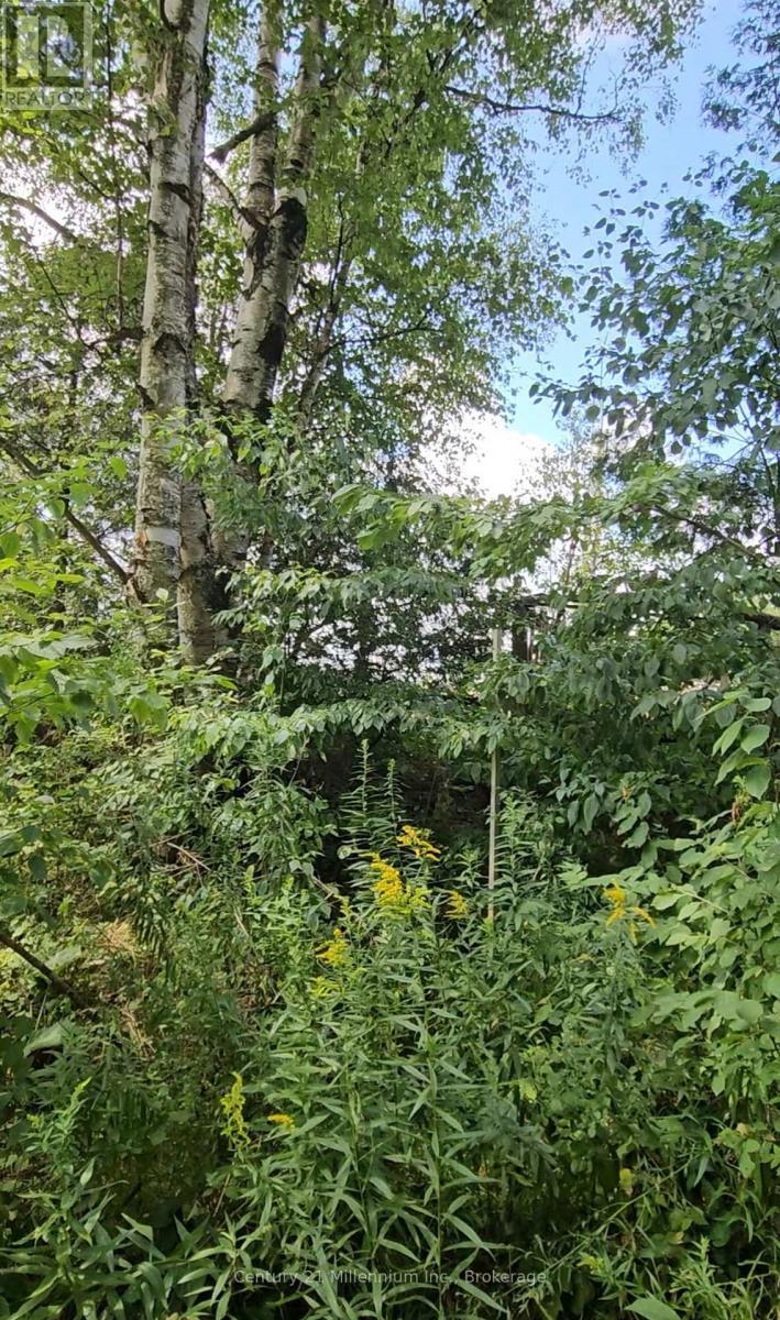 Lush vegetation and eco ponds - 612608 Sideroad 61, Southgate, ON