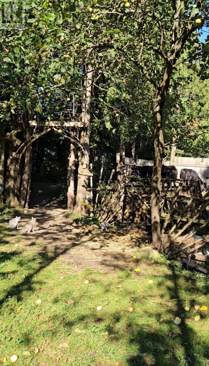 Lovely walking paths - 612608 Sideroad 61, Southgate, ON