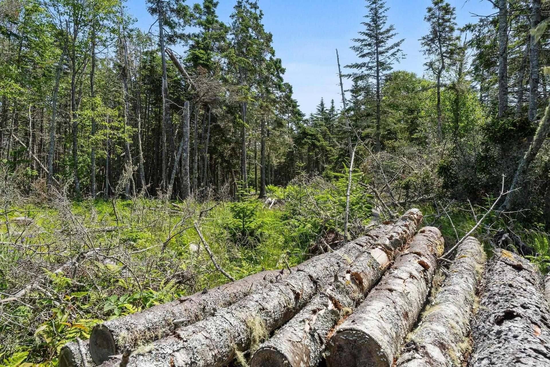 Lot Highway 207, Seaforth, NS
