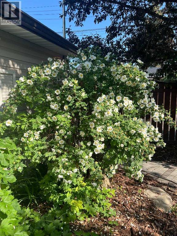 708 Allden Place Se, Calgary, AB - Outdoor