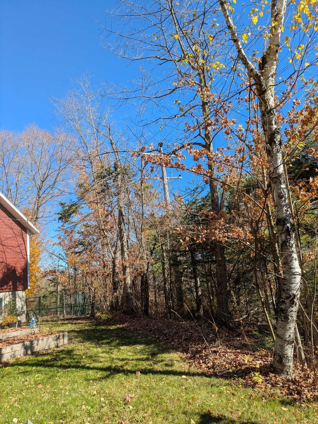 Backyard - 16750 Route 335, Chertsey, QC - Outdoor With View