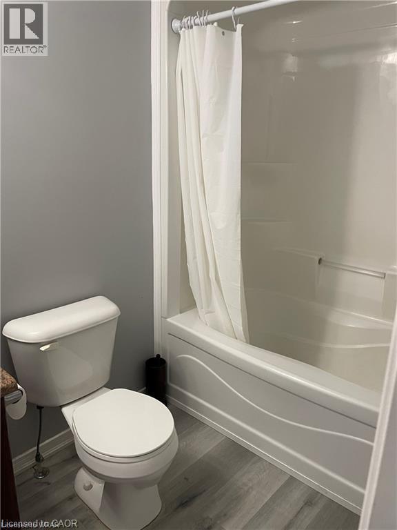 Bathroom with shower / tub combo with curtain and wood finished floors - 198 Maitland Street, Kitchener, ON - Indoor Photo Showing Bathroom