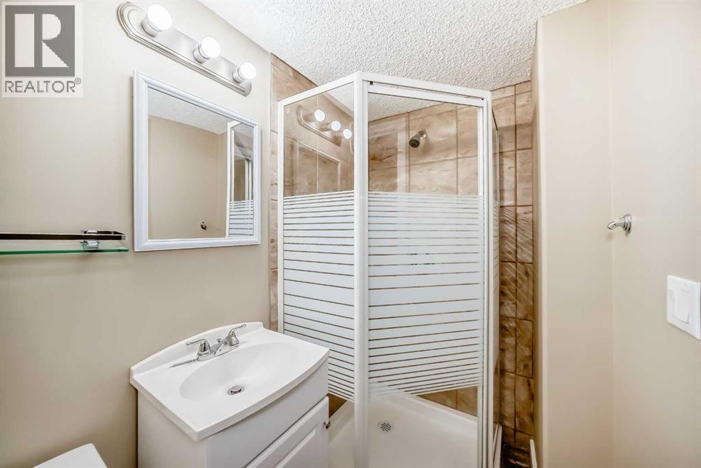 38 Springborough Way Sw, Calgary, AB - Indoor Photo Showing Bathroom