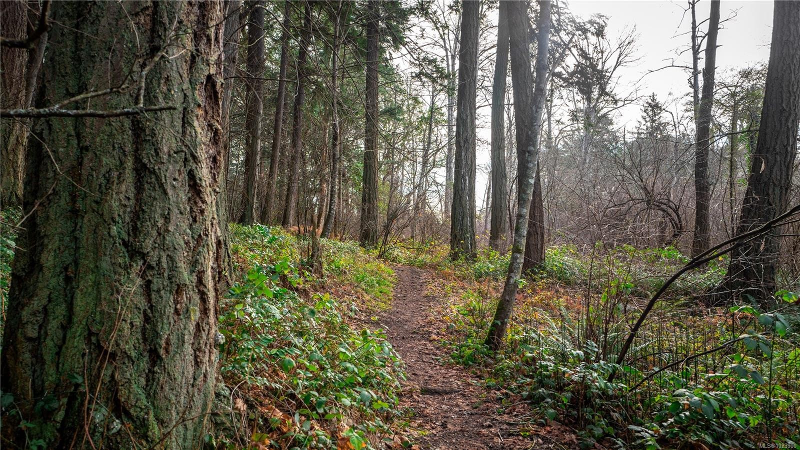 3855 Haro Rd, Saanich, BC