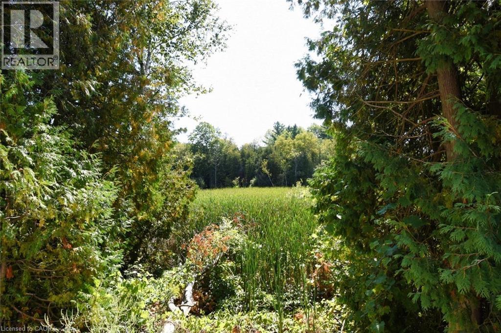 View of local wilderness - 1085 10Th Concession Road W Unit# 29, Flamborough, ON - Outdoor