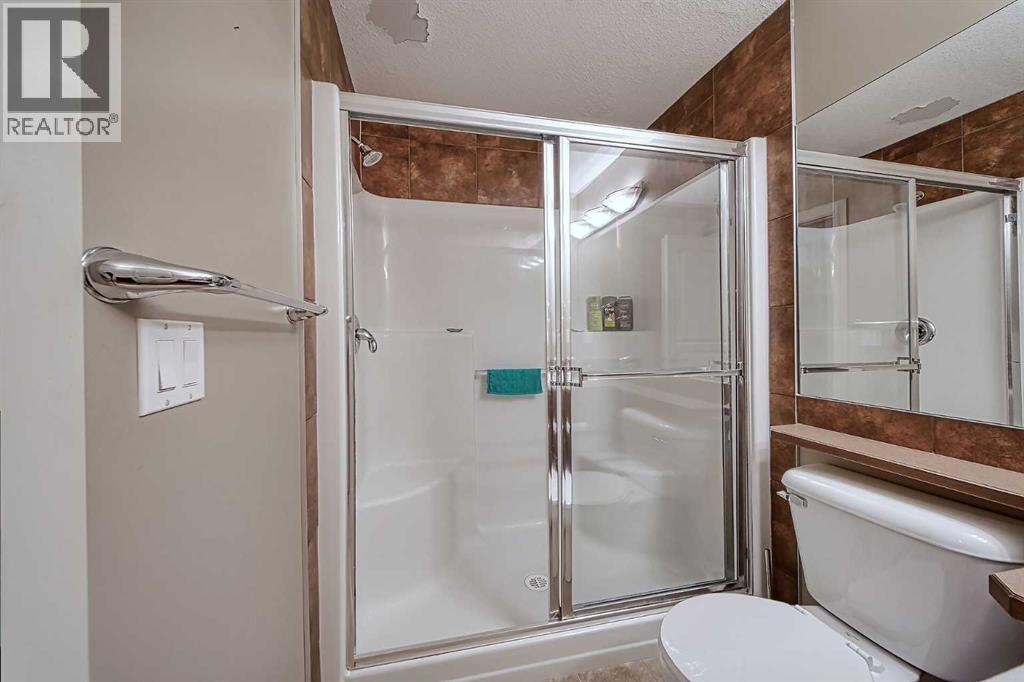 242, 52 Cranfield Link Se, Calgary, AB - Indoor Photo Showing Bathroom