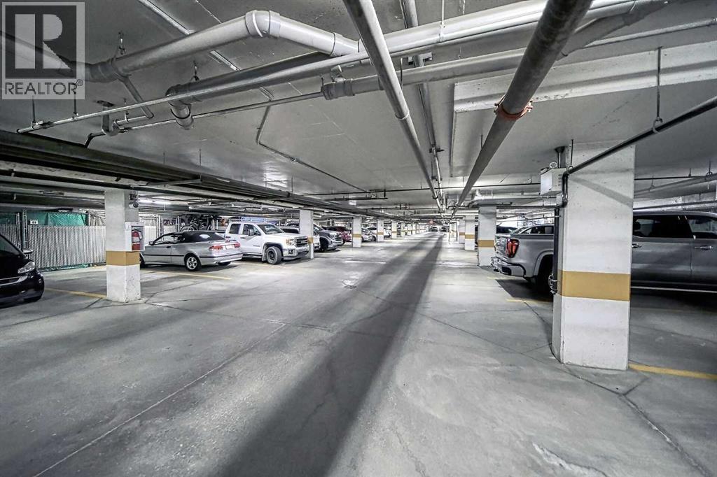 242, 52 Cranfield Link Se, Calgary, AB - Indoor Photo Showing Garage