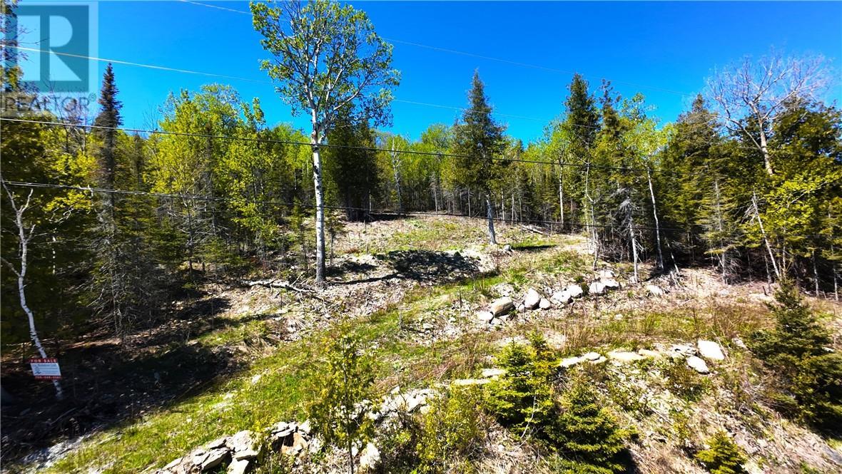 503 Lighthouse Road, Gore Bay, ON