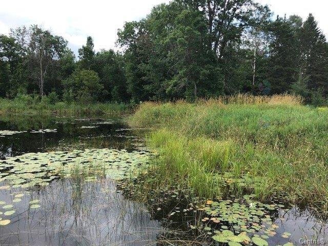 Bord de l'eau - 38 Ch. Du Lac-Lawless, Litchfield, QC